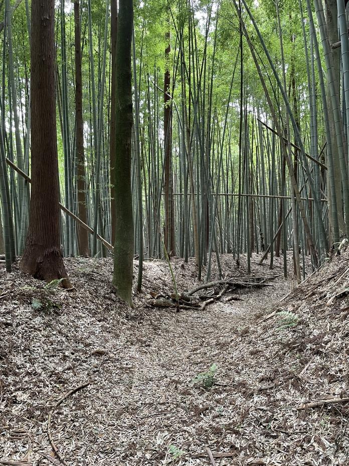 塙城