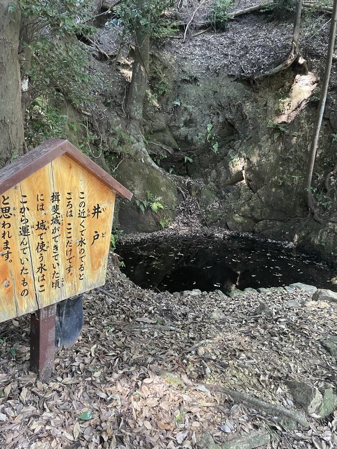 揖斐城