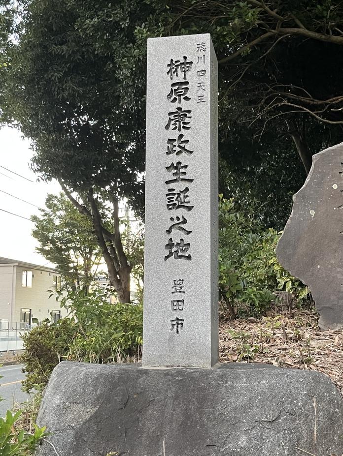 上野上村城