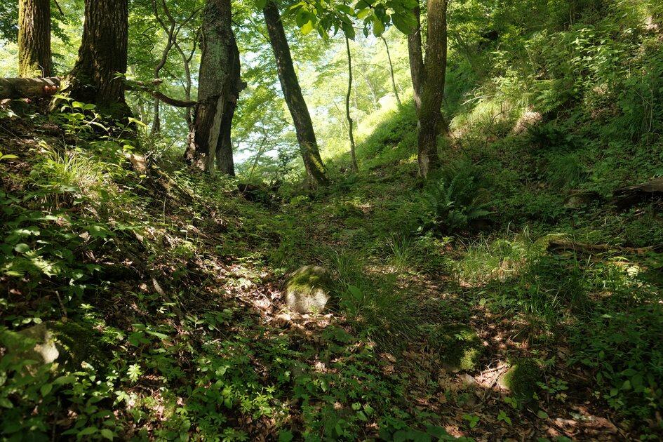 旭山城