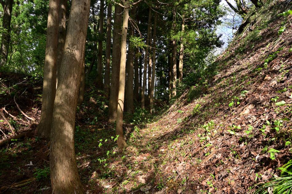 栃尾城