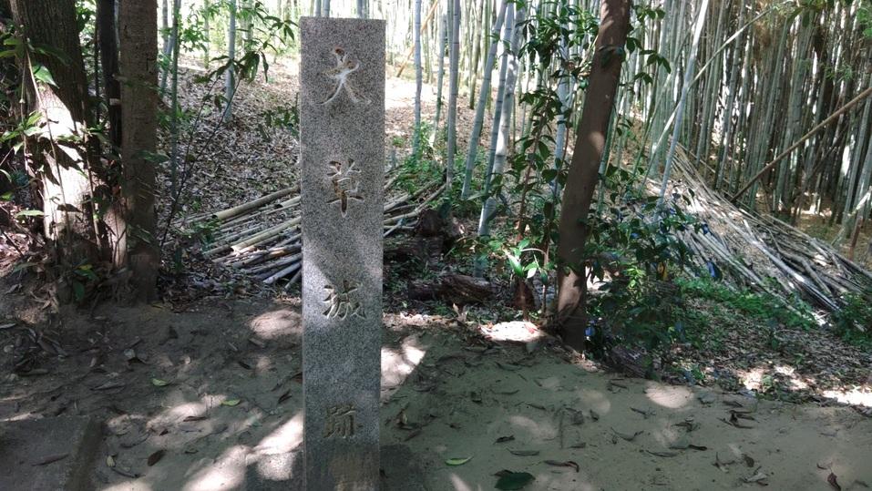 大草城