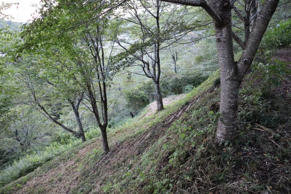 茂木城