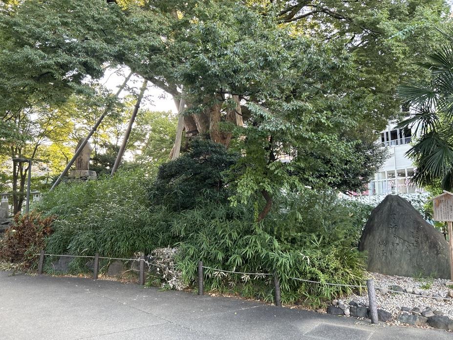 松任城