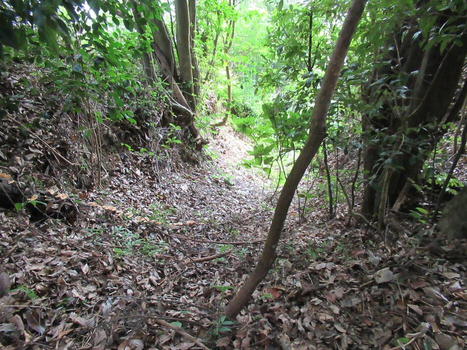 蓮池城