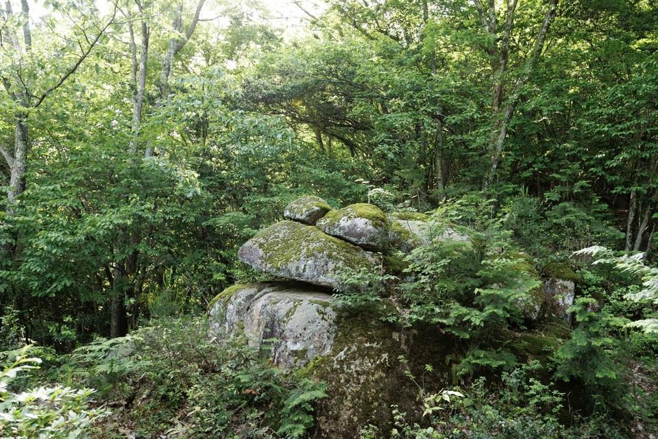 市場城