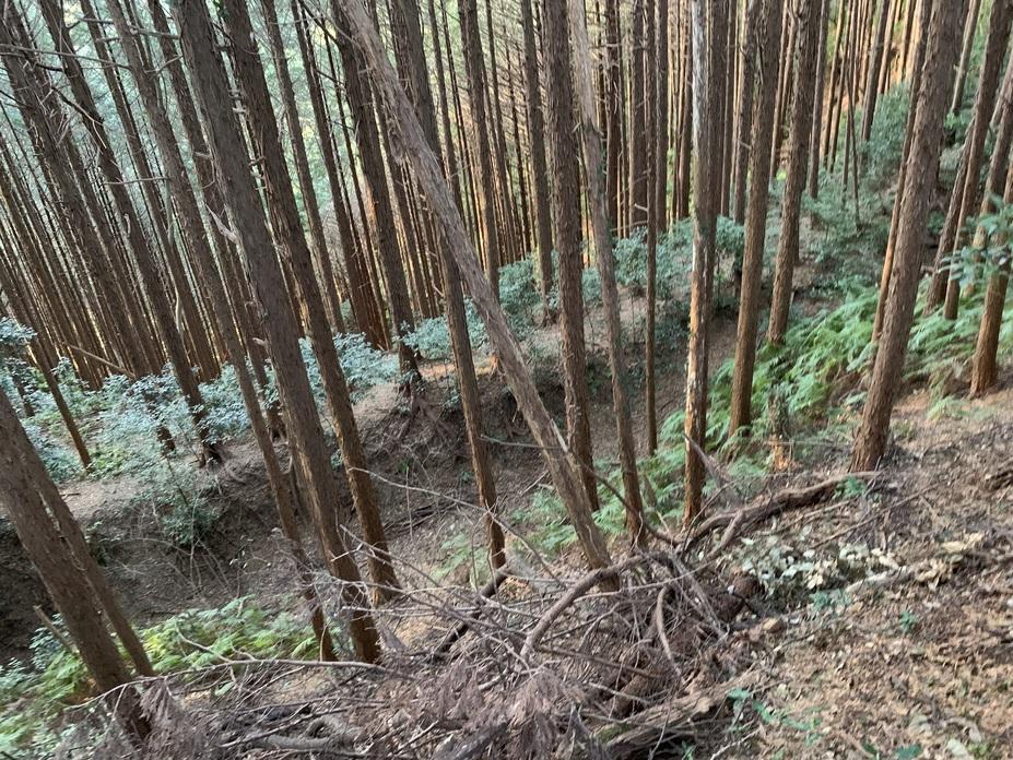 丸子城