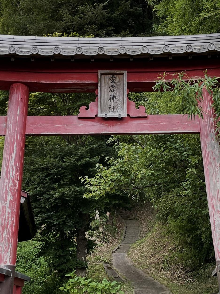 高玉城