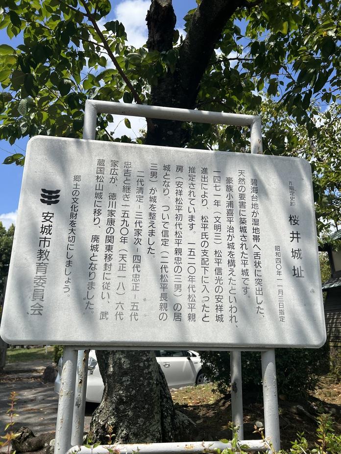 桜井城
