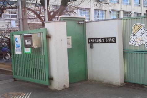 若江城