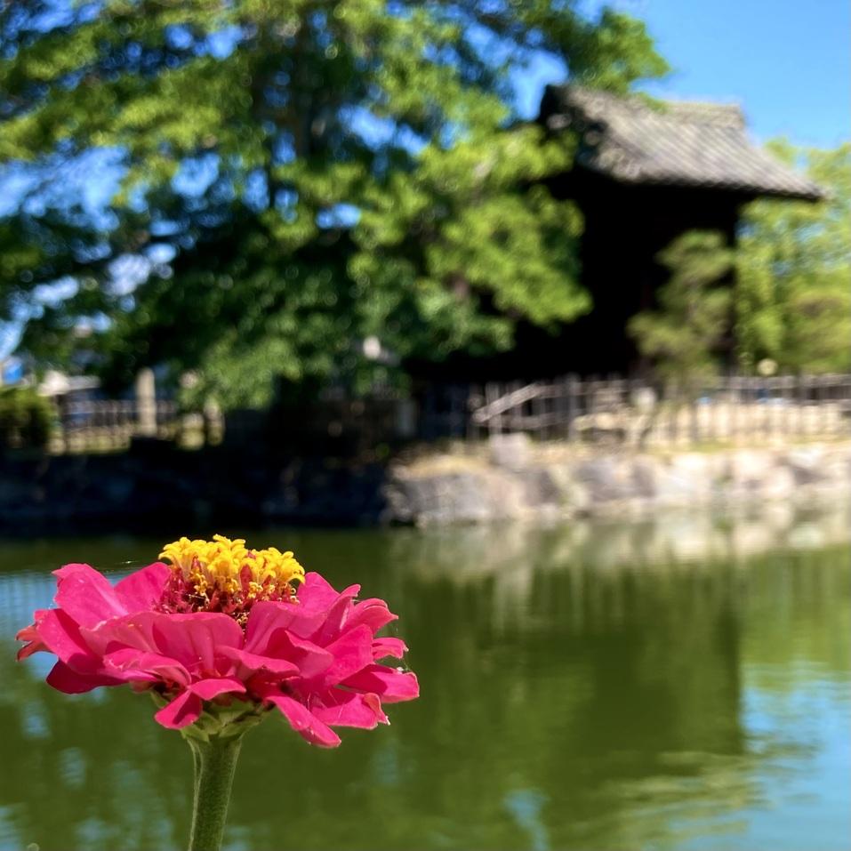 庭瀬城