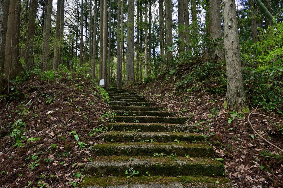 与板城