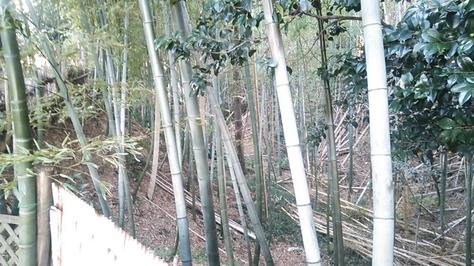 守山城