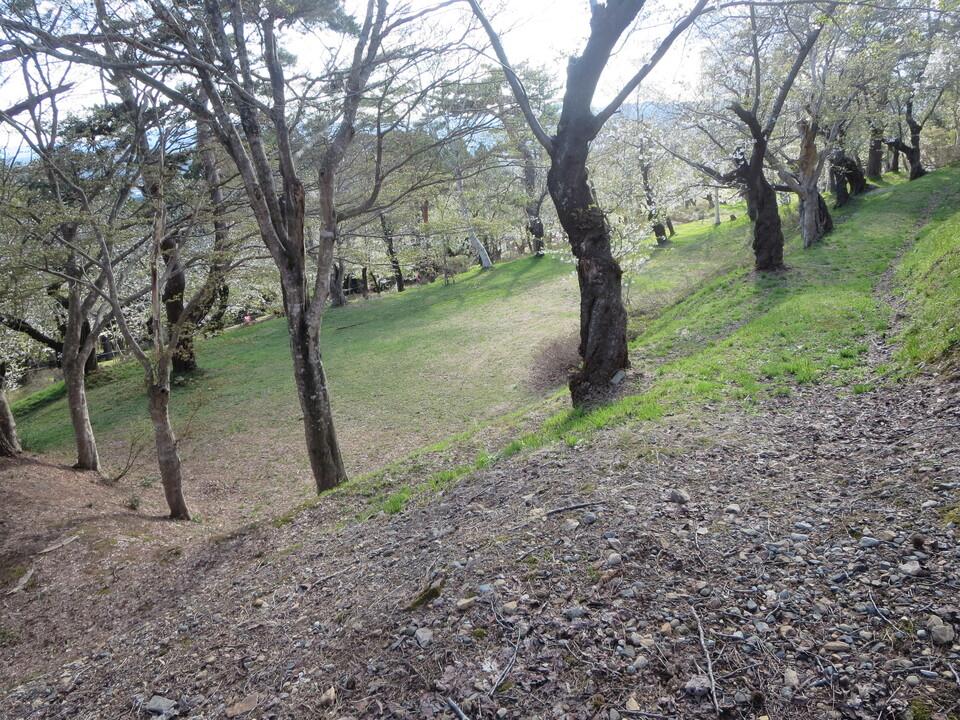 大森城
