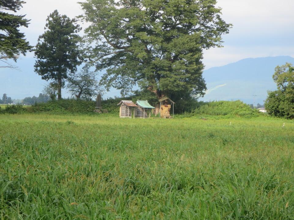 本堂城
