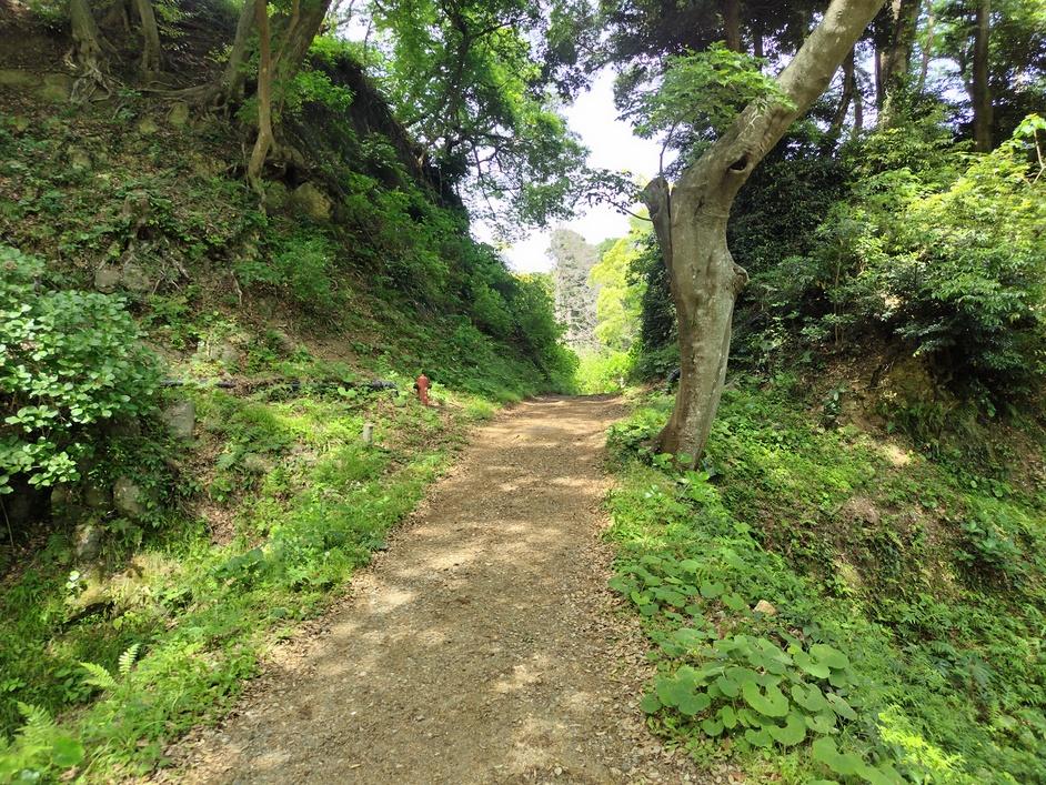下田城