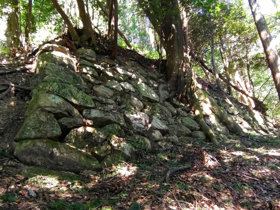 宇佐山城