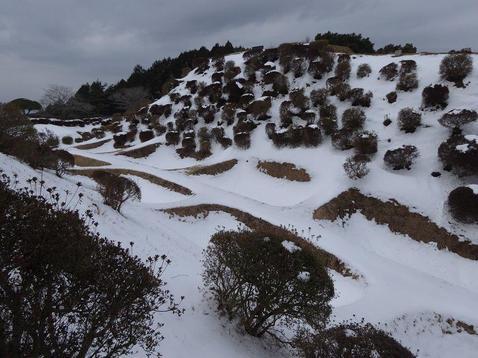 山中城