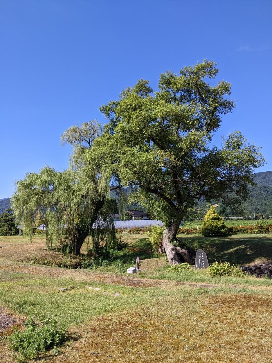 出羽丸岡城