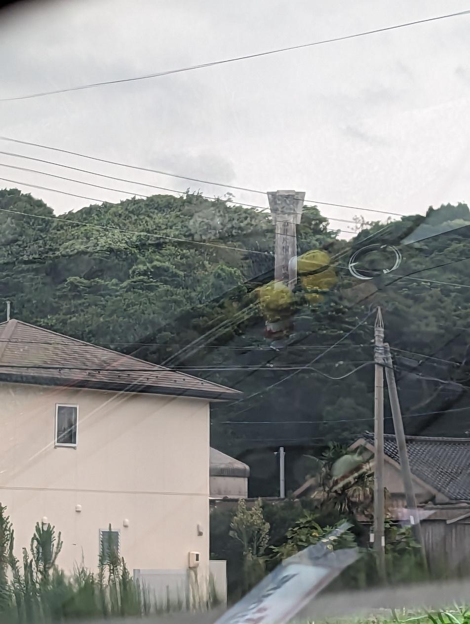 八橋城