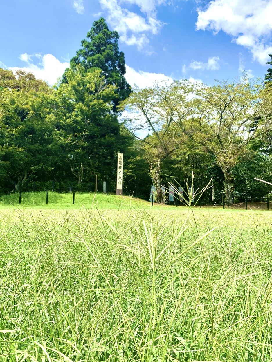 長篠城