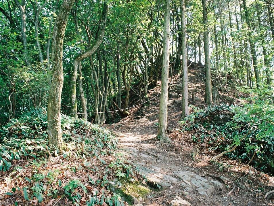 生子山城