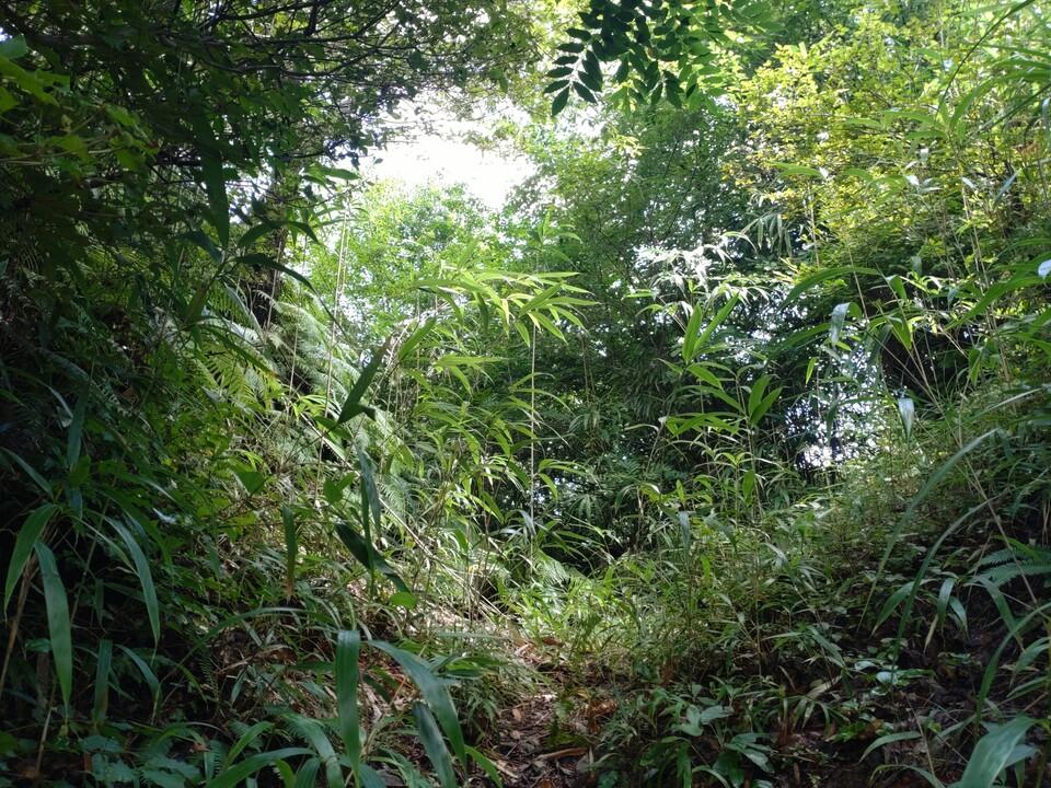 清水山城