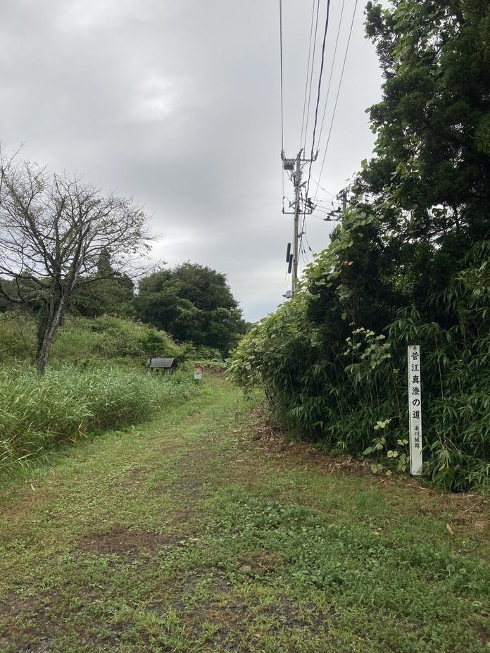 染川城