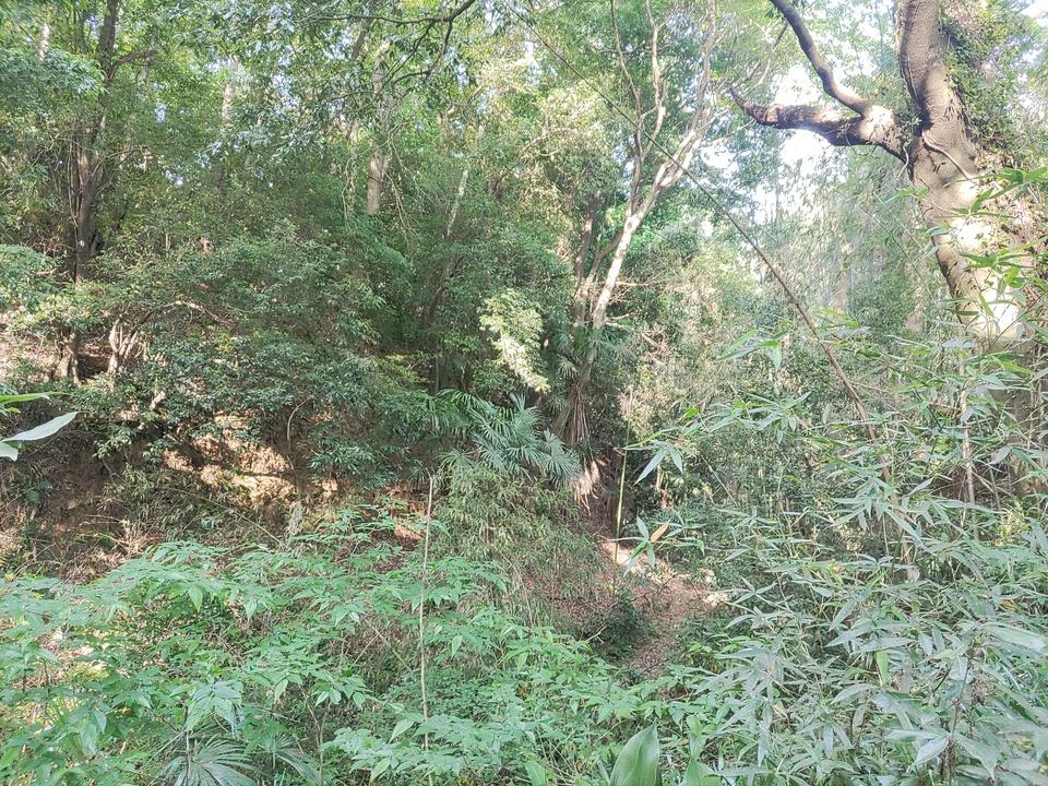 鷲城