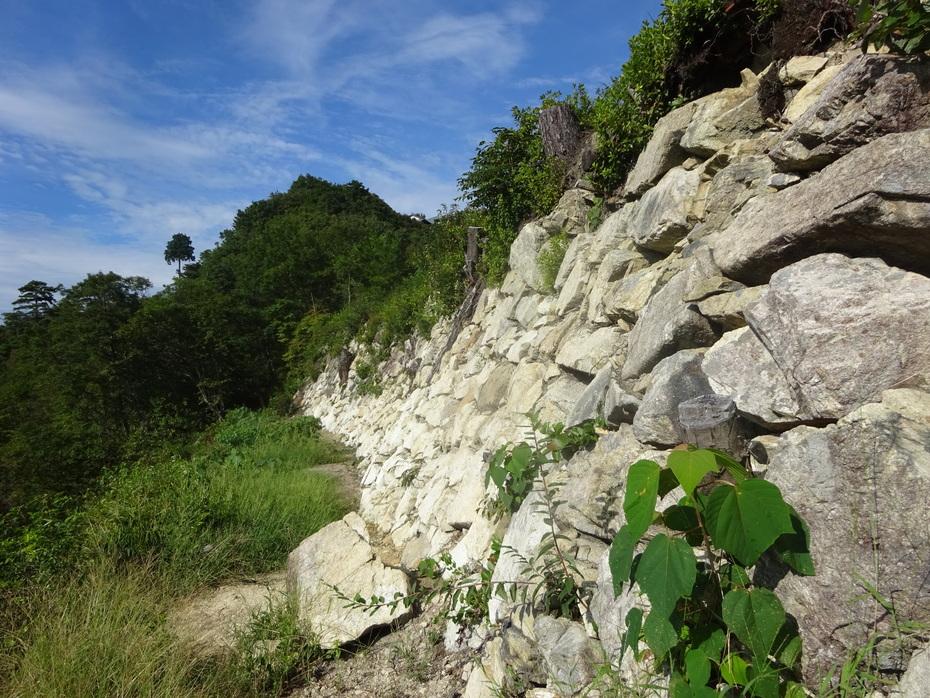 八幡山城