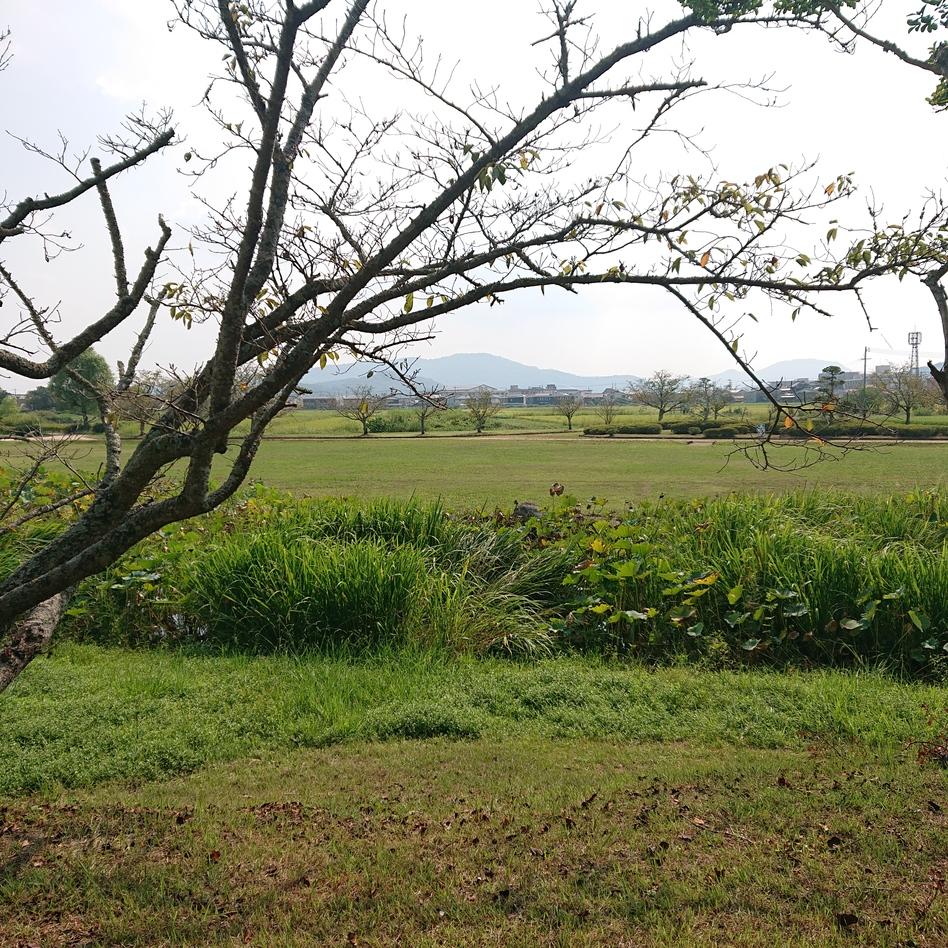 備中高松城