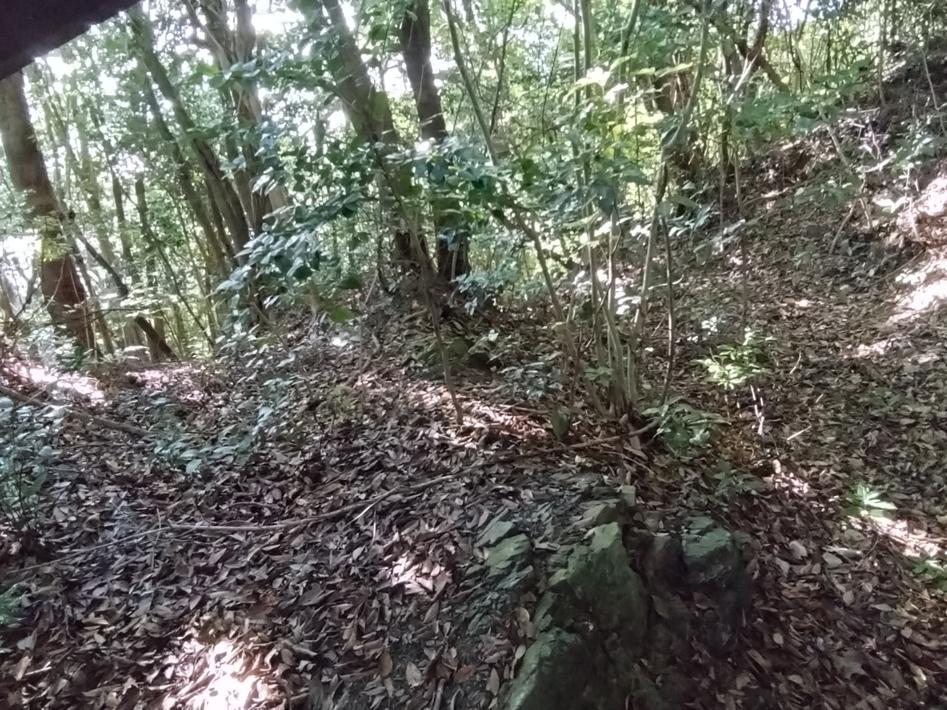 大津山城