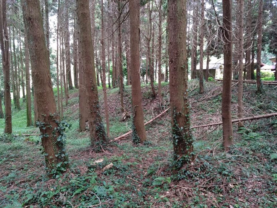 亀尾城