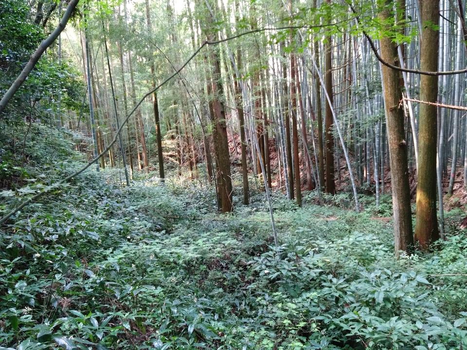 隈府城