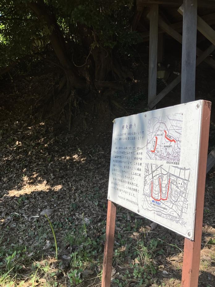 丸山城