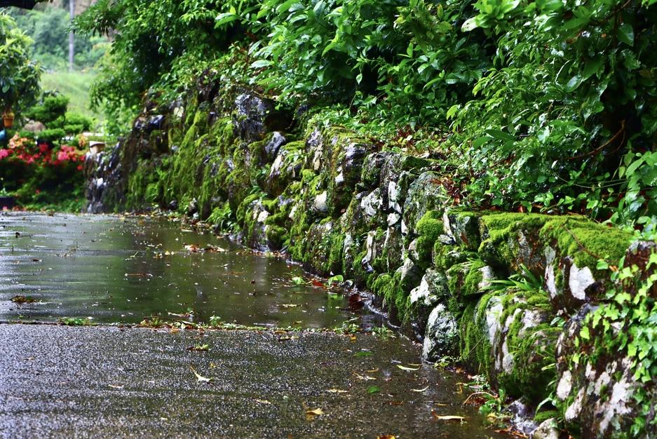 世知原氏館