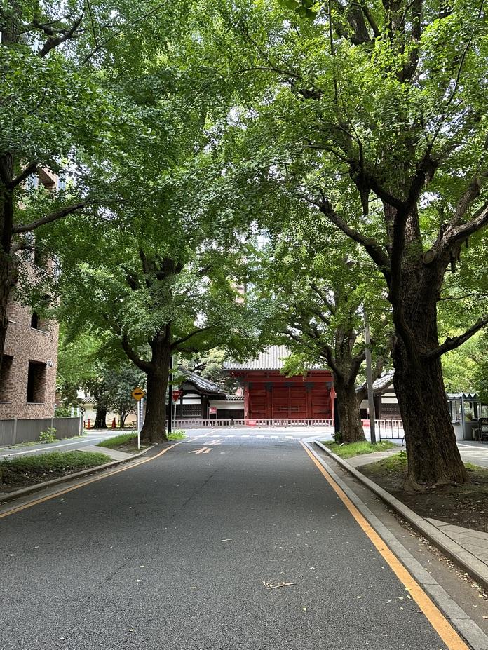 本郷城