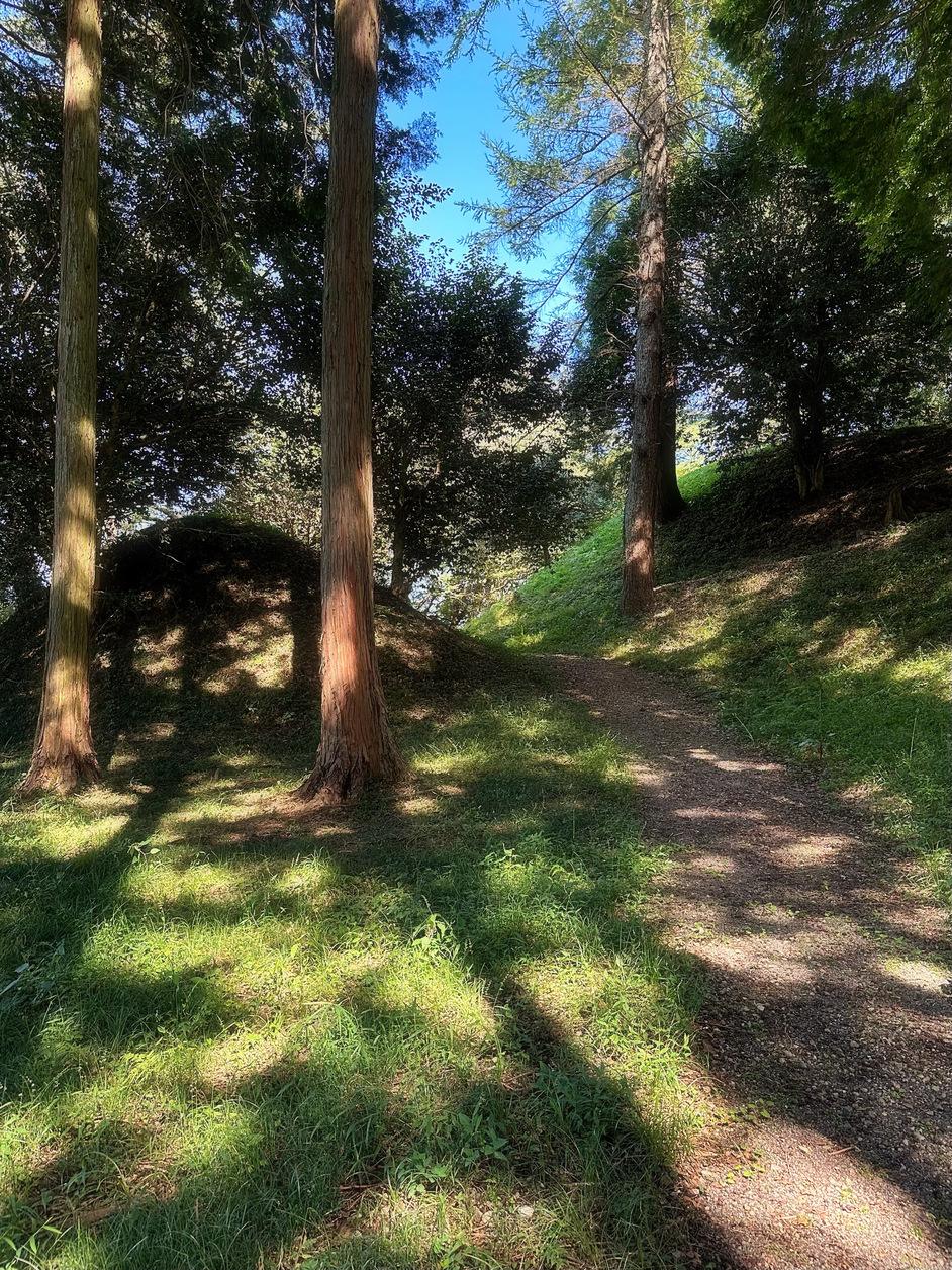 佐久山城