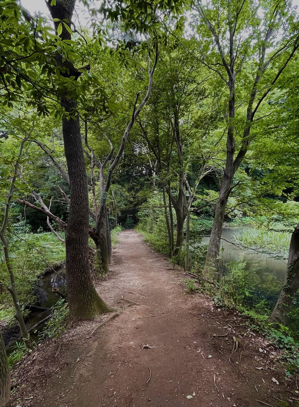 石戸城