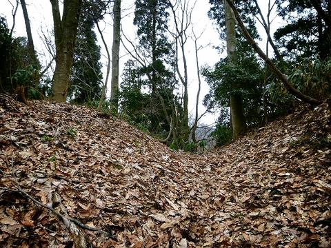 道坪野城