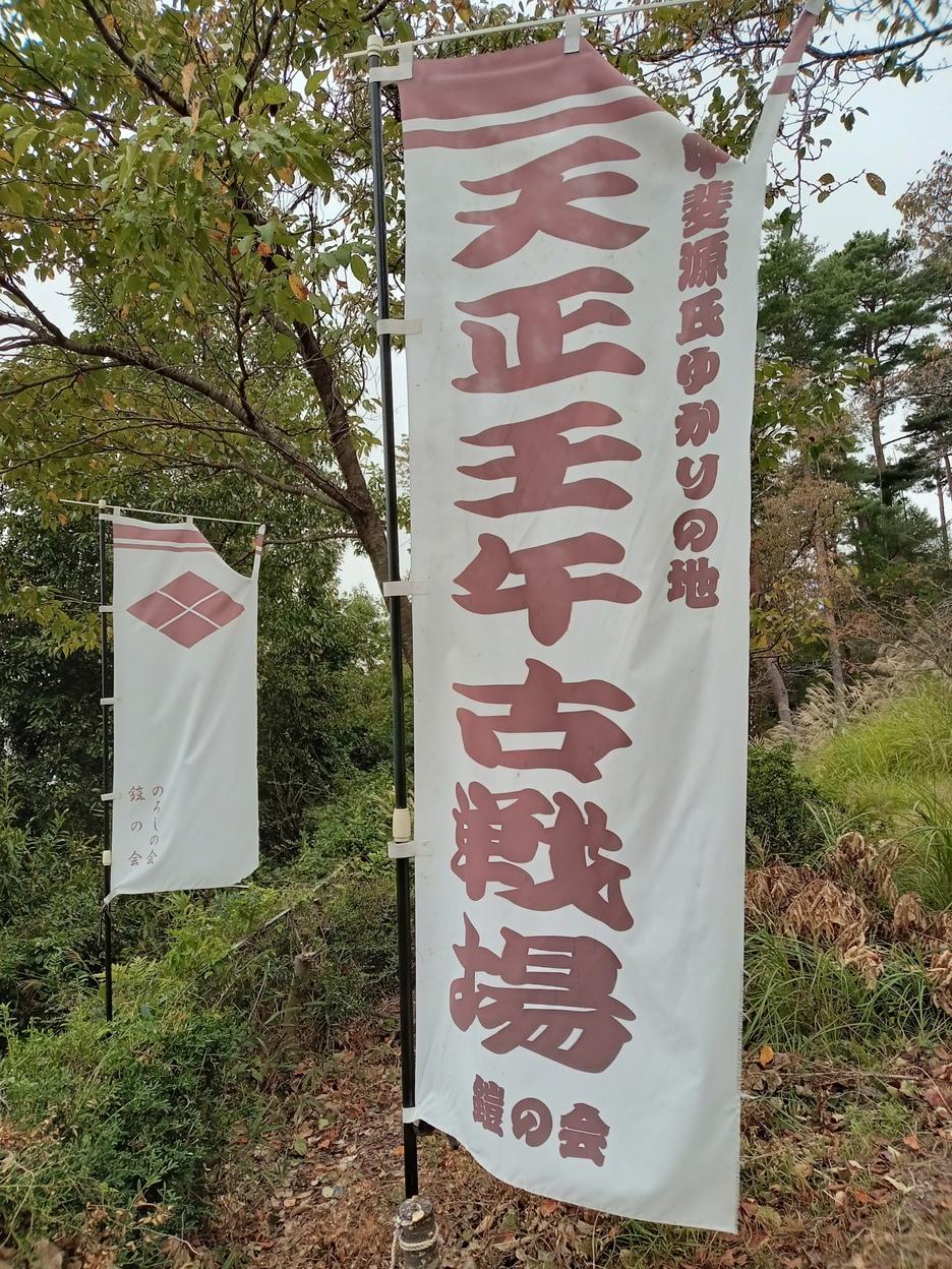若神子城