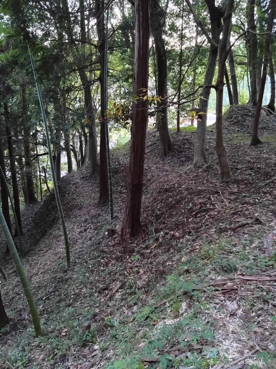 弓木城