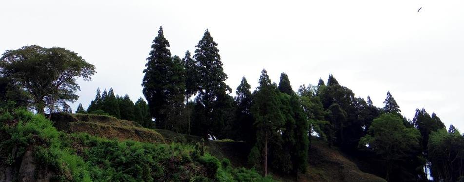 田中城