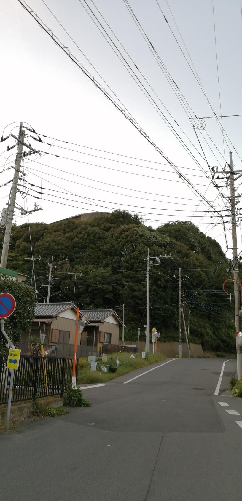 龍ケ崎城