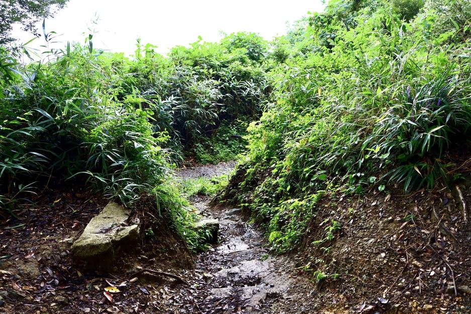 飯盛山城