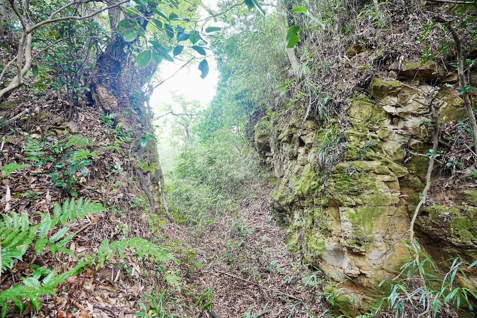 松岡城