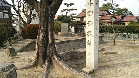 小田井城
