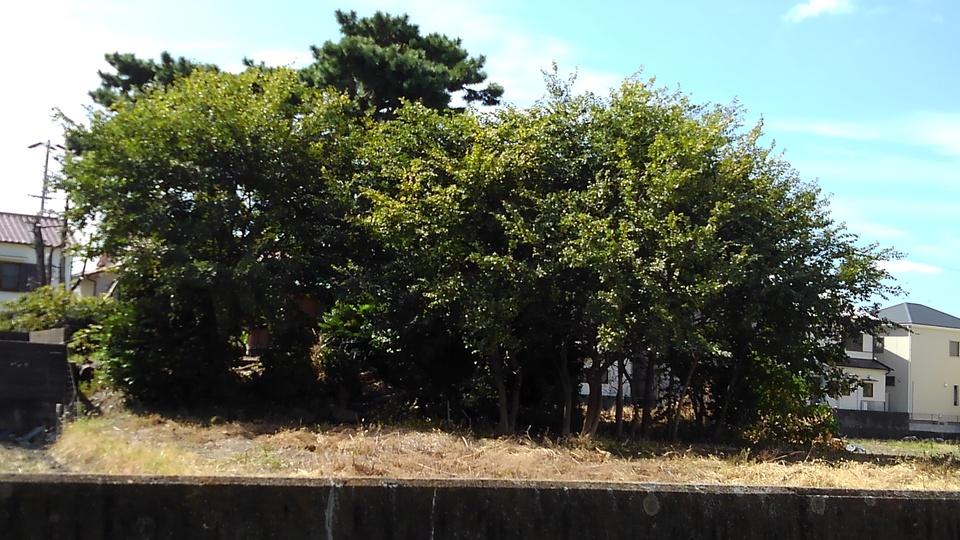 船上城