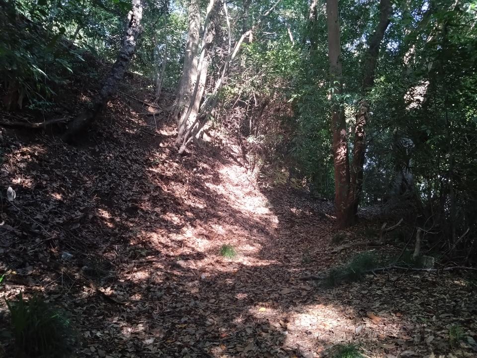 前ヶ崎城