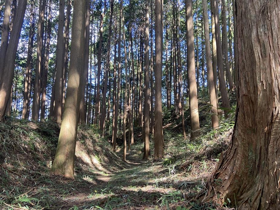 古宮城